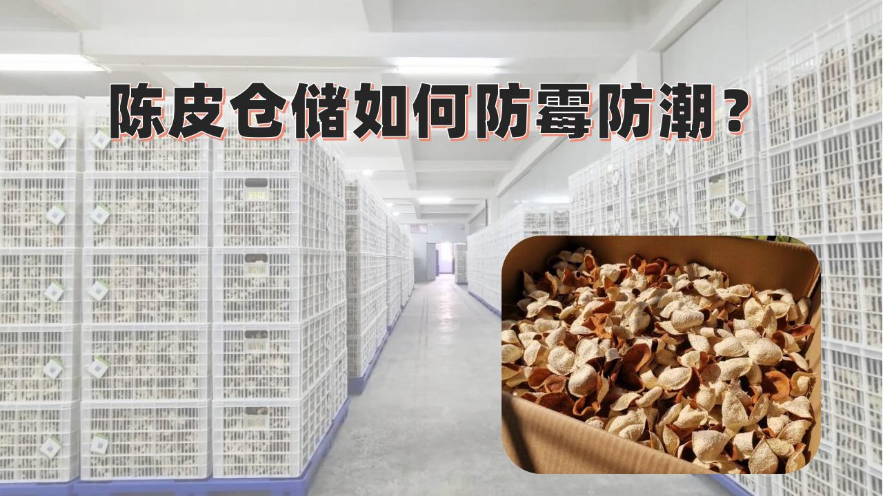 陳皮倉儲長霉發(fā)霉損失大？百適涂無機(jī)陶瓷涂料打造“零霉變”防護(hù)層