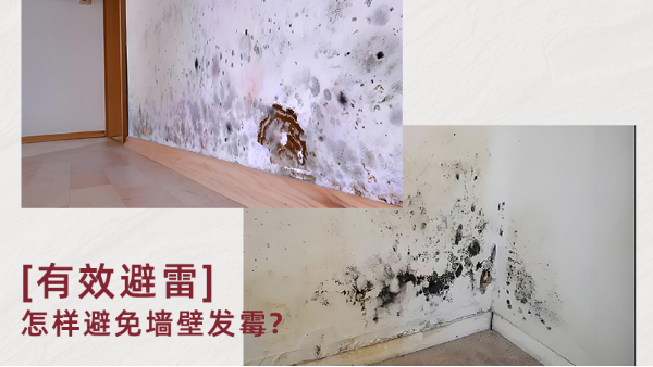 無機(jī)涂料真能防霉嗎？防霉原理是什么？百適涂無機(jī)涂料為何值得推薦？