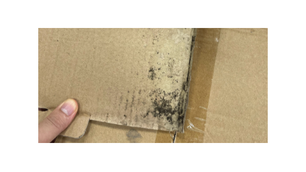 裝修技巧！紙箱倉庫如何防潮防霉，百適涂無機(jī)涂料支招！